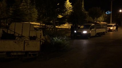 Kamyonetin çarptığı ağaç devrildi, serçe telef oldu