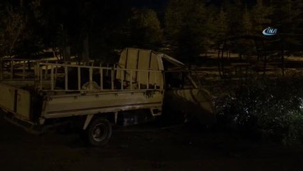 Kamyonetin Çarptığı Ağaç Devrildi, Serçe Telef Oldu