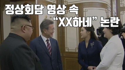[자막뉴스] 정상회담 영상 속 "XX하네" 논란...靑 "사실관계 파악 중" / YTN