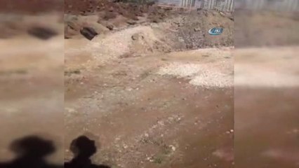 Ölmek Üzere Olan Köpek Vatandaşların Duyarlılığı Sayesinde Kurtarıldı