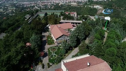 Uludağ’da aç kalan sakat ayı ve yavruları şehre indi