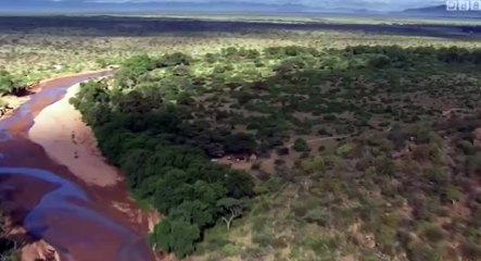 Nature's Epic Journeys S01 - Ep01 Elephants - Part 01 HD Watch