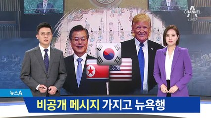 문 대통령, 비공개 메시지 가지고 뉴욕행