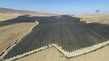 Niğde'de Elma Hasadı Başladı