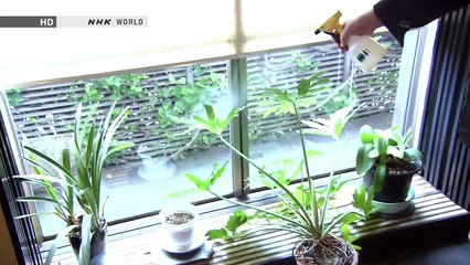 NHK 1000 Years of Karakami Art