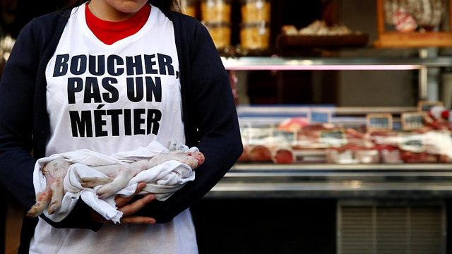 Животные тоже хотят справедливости