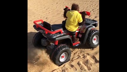 Baby chimp gets ATV stuck in desert sand