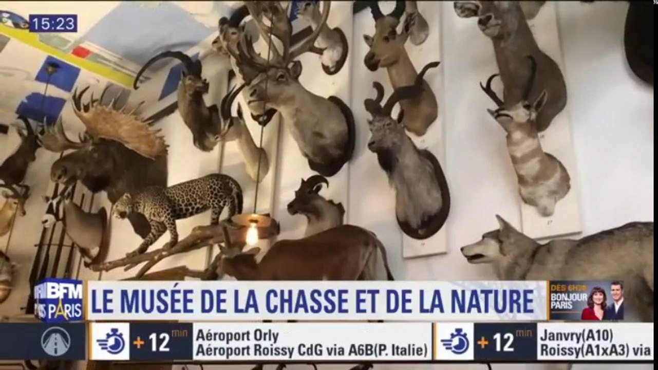 Partez à la découverte du musée de la chasse et de la nature