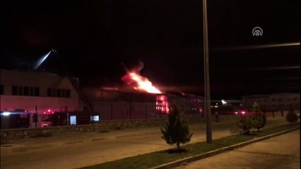 Germencik'te fabrika yangını - AYDIN