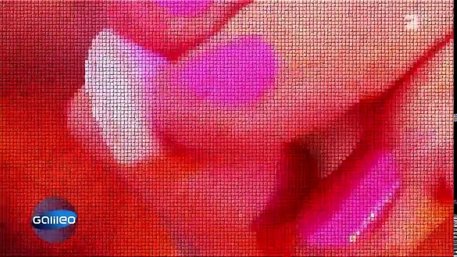 So entstehen Mentos-Dragees | Galileo Lunch Break