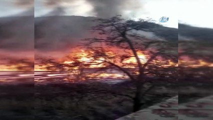 Elektrik kontağından çıkan yangında 8 ev kullanılamaz hale geldi