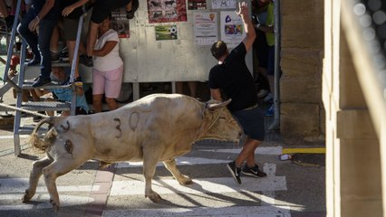 Dos heridos por asta en el toro con soga de Lodosa