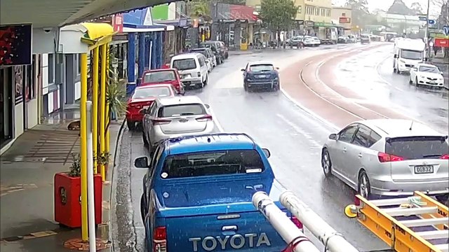 Un chien se sauve avec un drapeau Coca-Cola