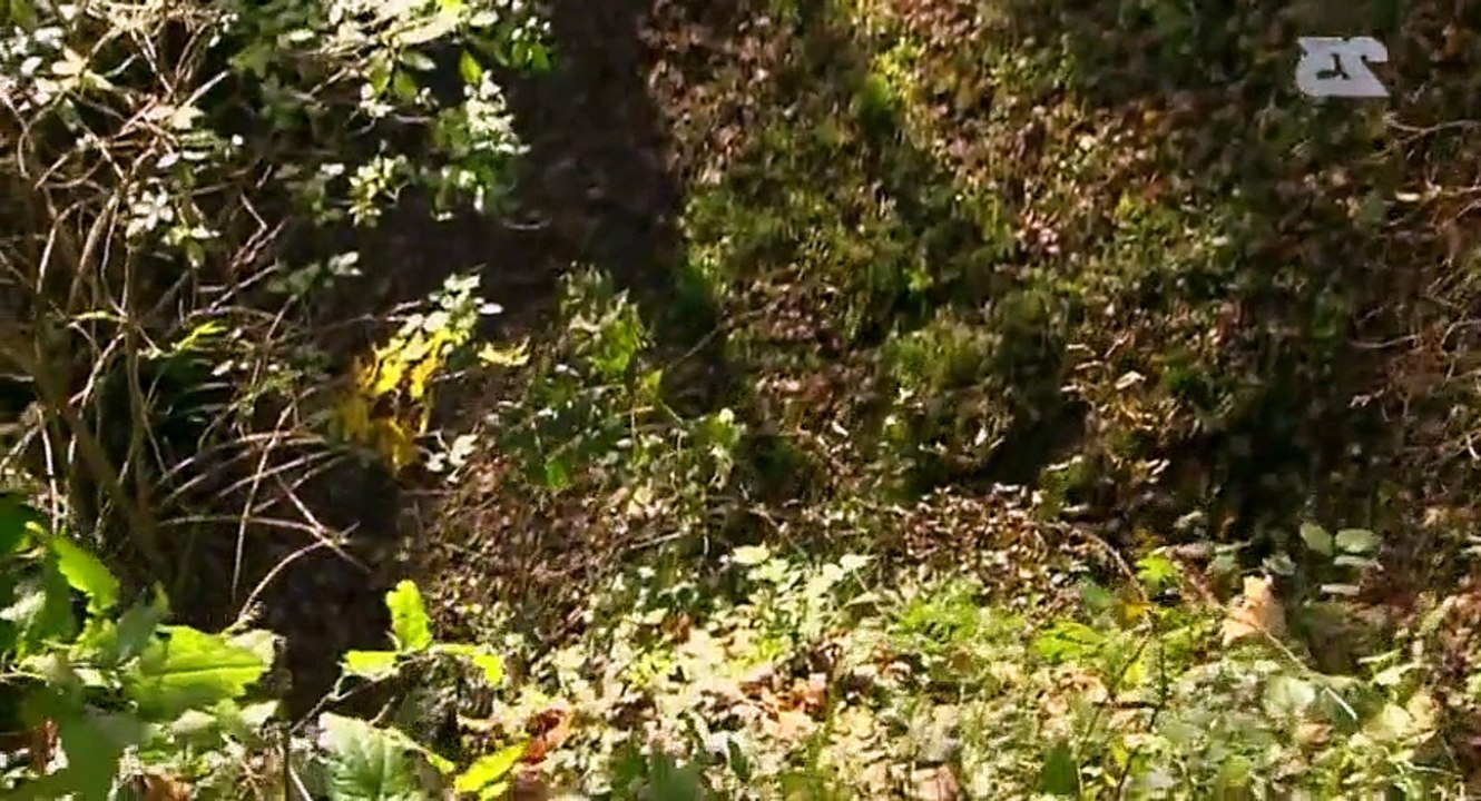 La main blanche E 2 FRENCH HD  264 mkv   Part 02