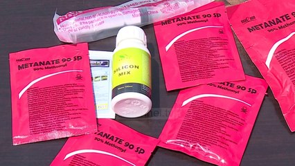 Domatet e helmuara; Greqia kap prodhimet shqiptare: Nivel i lartë pesticidesh