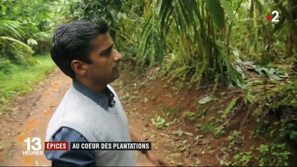 Feuilleton : Inde, la route des épices (3/5)