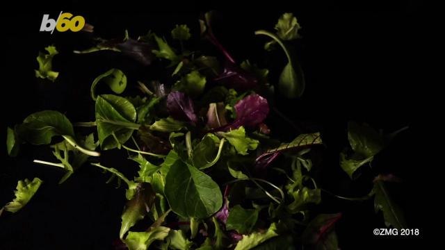 Thinking Burns Calories According to New Study