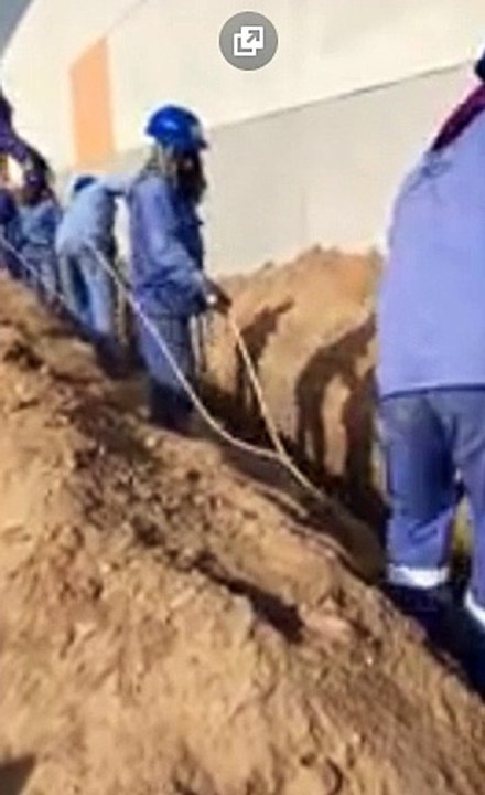 Das Ultimatum der Teamarbeit, die du jemals sehen kannst