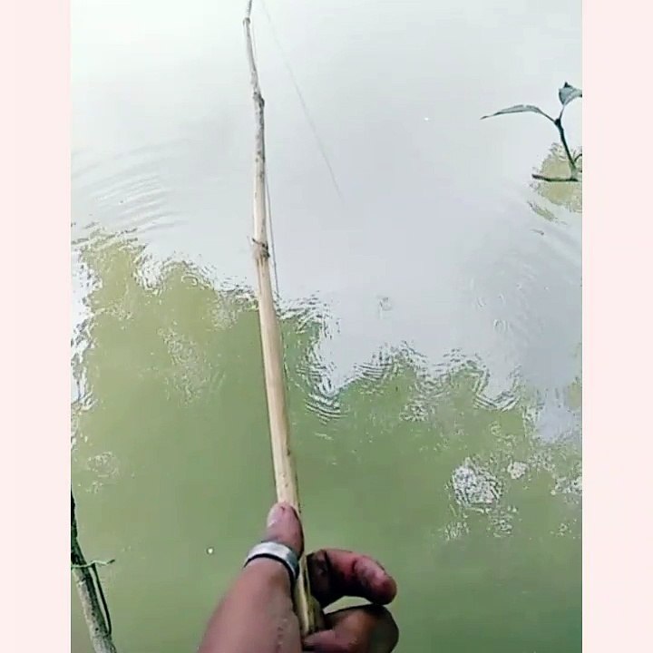 Fishing by fishhook!