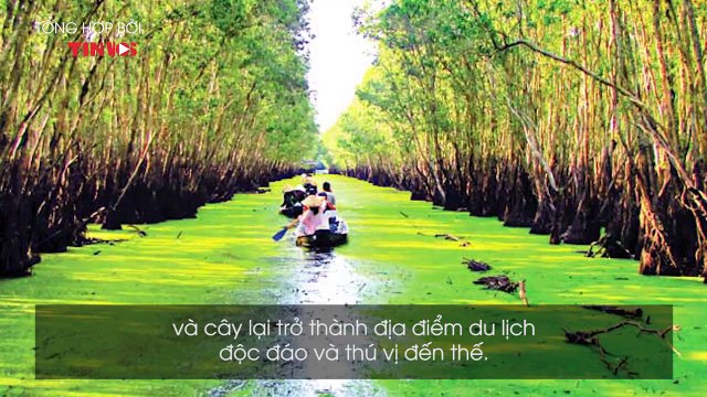 Đến với An Giang thì nhất định bạn không nên bỏ qua những vùng đất đẹp đến mê lòng người