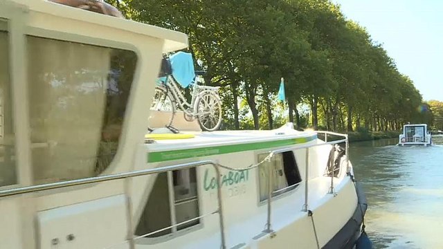 Canal du Midi : inquiétude autour de l'abattage des platanes centenaires