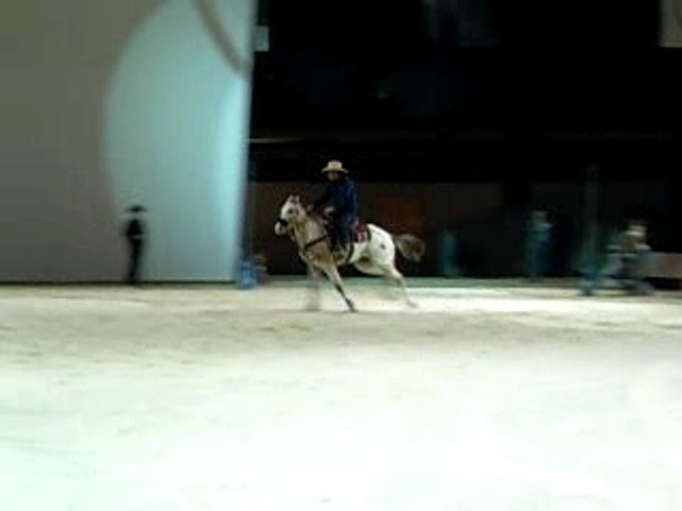 Cheval passion 2007-western