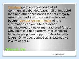 Find puppies and dogs for sale in India via Only4Pets
