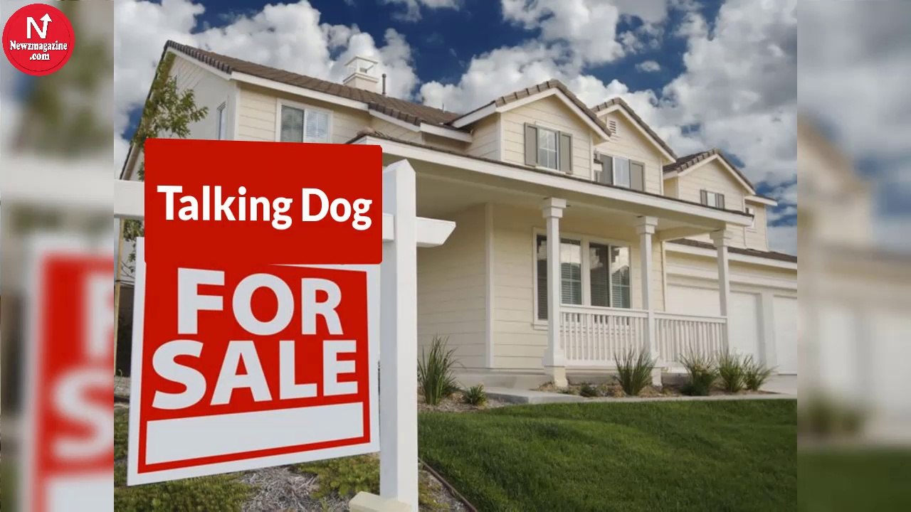 A Man Found Someone Selling A Talking For Only $10. But When You Hear Why So Cheap… HILARIOUS!