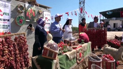 İsot festivali renkli görüntülerle başladı