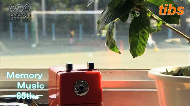 (taoyakaibs)Memory Music The 65th True story introduction Unattended purchasing department Primary thought dog