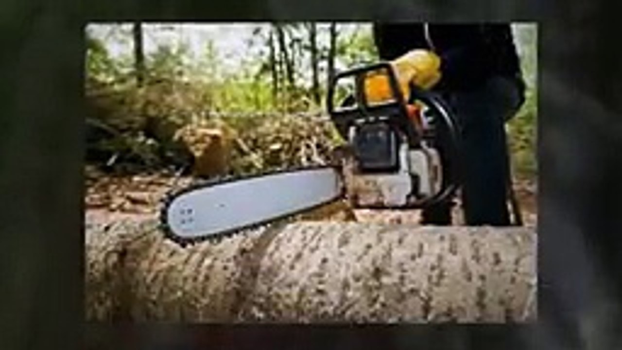 M&M Tree Cutting