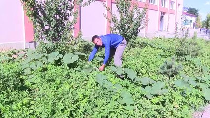 Bu Bahçenin Ürünleri Öğrenciler İçin Yetiştiriliyor