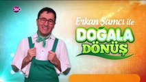 ekolojik diş macunu yapımı
