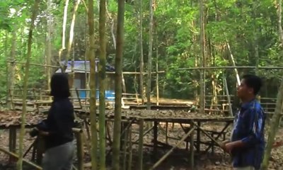 Hutan Harapan adalah Hutan Dataran Rendah Terakhir