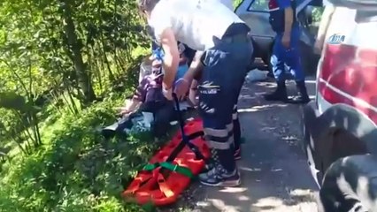 Ordu'da freni patlayan otomobil ağaca çarptı: 6 yaralı