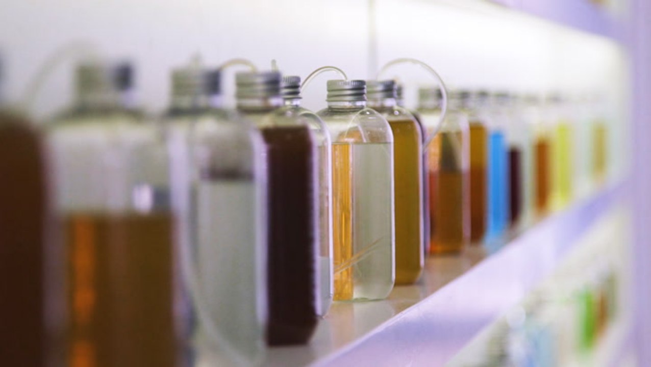 This is the most customized hair product you ha...