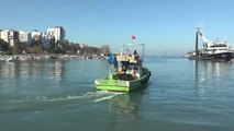 Karadeniz'de Palamut Bolluğu - Düzce