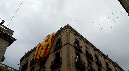 Despleguen una gran estelada a la plaça de Sant Jaume