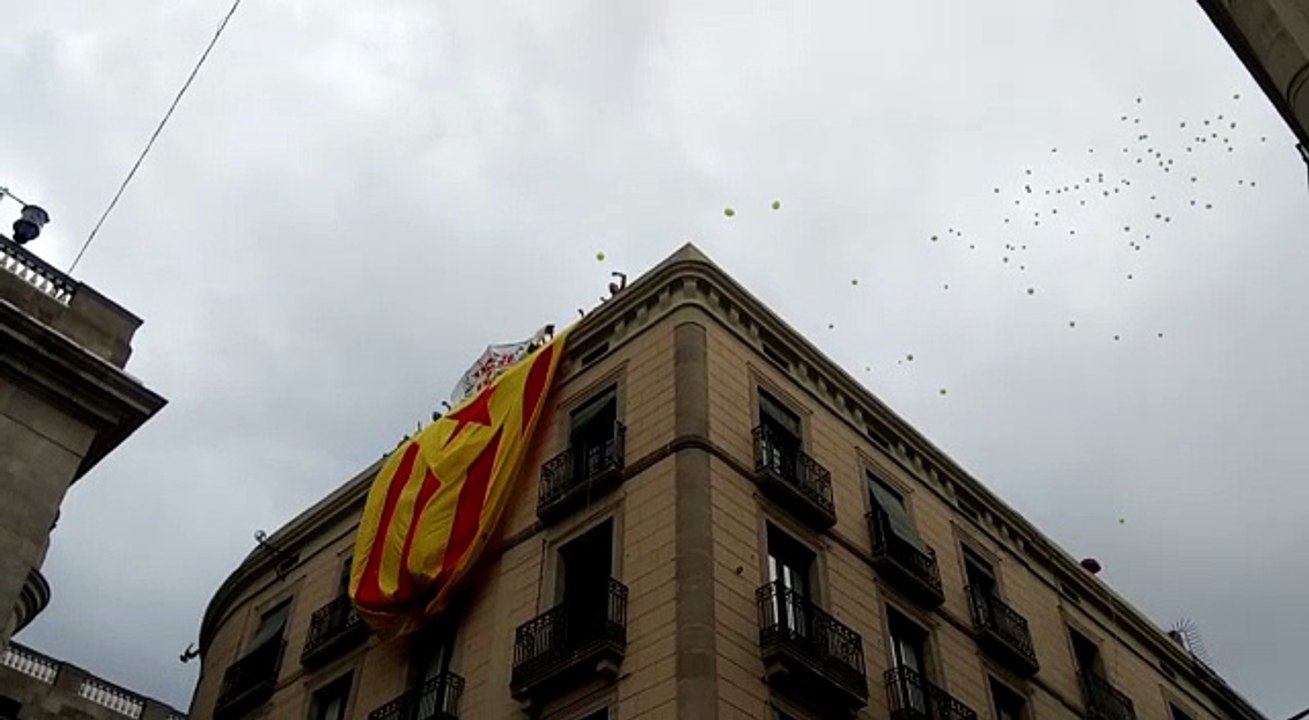 Despleguen una gran estelada a la plaça de Sant Jaume