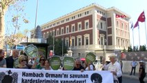 İstanbul Almanya Başkonsolosluğu Önünde Orman Protestosu