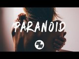 Lauv - Paranoid (Lyrics) Felix Palmqvist Remix