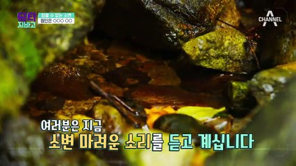 과민성 방광 자가진단법! 나도 혹시...?