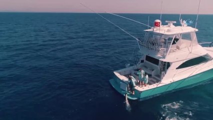 İzmir'de 190 Kiloluk Dev Balık, En Büyük Balık Kategorisinde Birincilik Getirdi