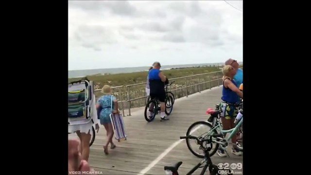 Ce raton fait une chute de 40 mètres dans le vide et, à la stupéfaction de tous, repart comme si de rien n'était