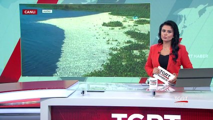 Can Suyu Kesildi Balıklar Öldü