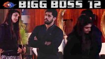 Bigg Boss 12: Kriti Verma - Shivashish Mishra के बीच शुरू हुई Love Story | FilmiBeat