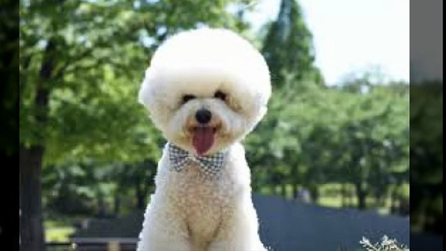 유성출장안마 010s2189s0407신용후불제 아가씨미팅후결제 유성출장마사지 최고미녀대기중 마인드최고 교육철저 유성출장맛사지 내상절대불가 수질최한 안전한신용후불제 20대아가씨대기중 극한수위 특별한서비스