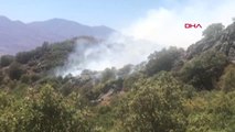 Aksaray'da Ormanlık Alanda Yangın
