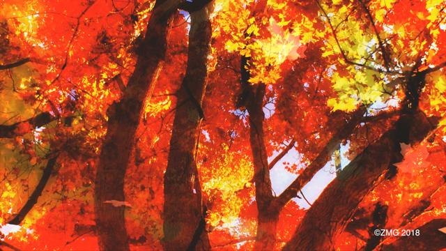 Here's Why More Couples Are Having Fall Weddings