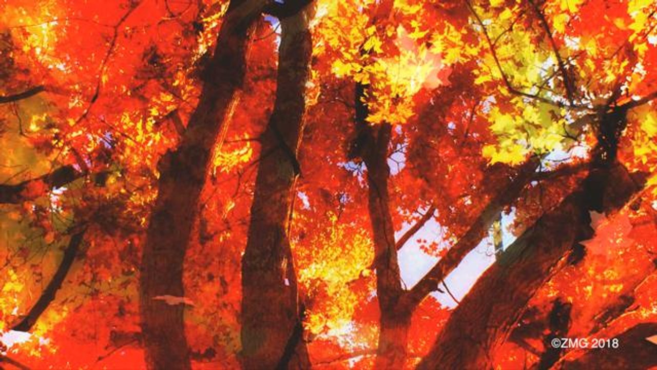 Here's Why More Couples Are Having Fall Weddings